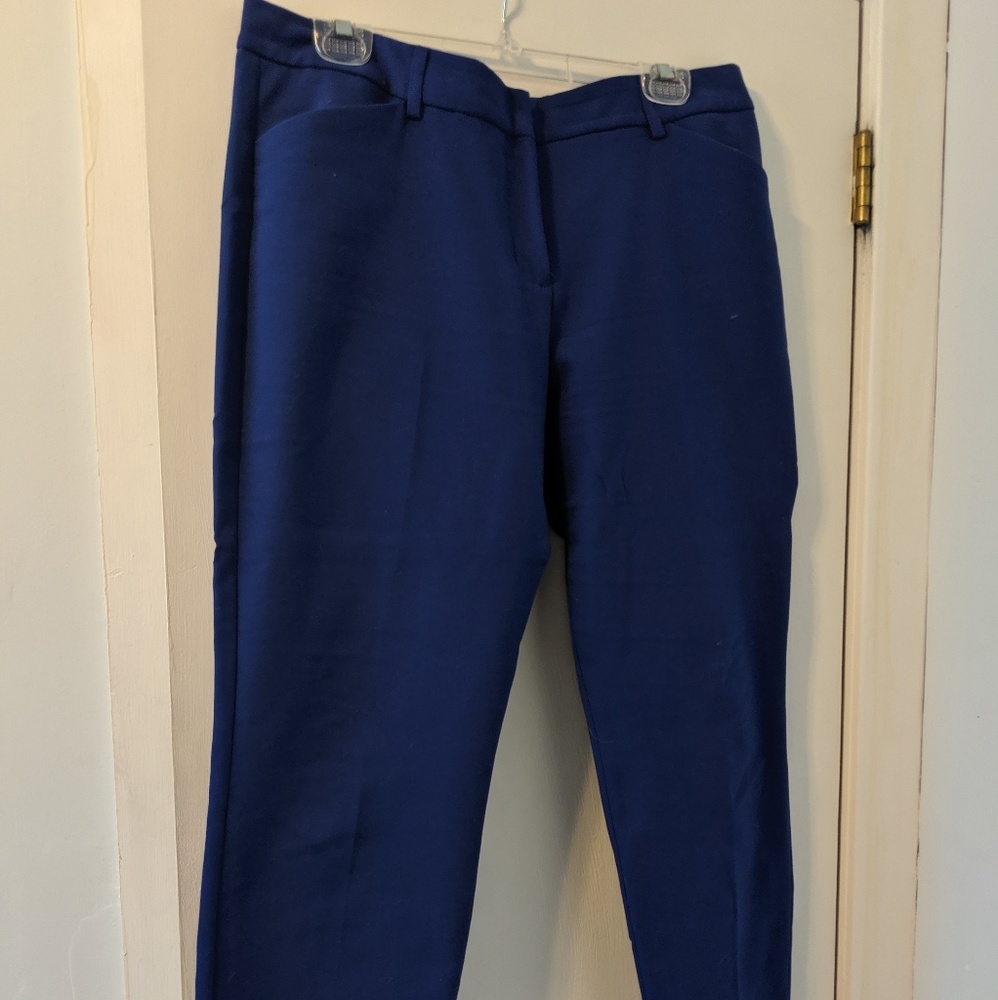 Express Royal Blue Ankle Length Pants